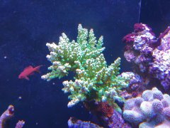 IMG_20210118_153414304.jpg