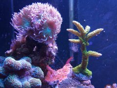 IMG_20210118_153434577.jpg