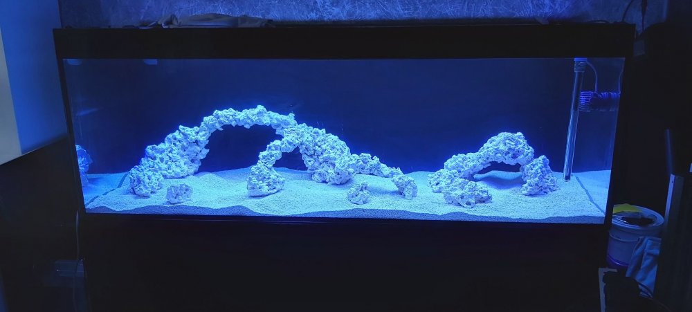 20210214_151858 (1).jpg