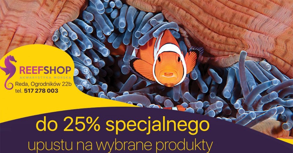 baner1200v6_procent_duzy specjalna okazja.jpg