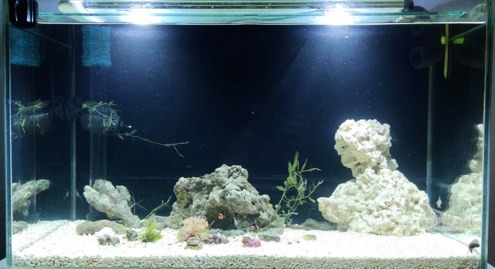 MokryBajzel 125l lores.jpg