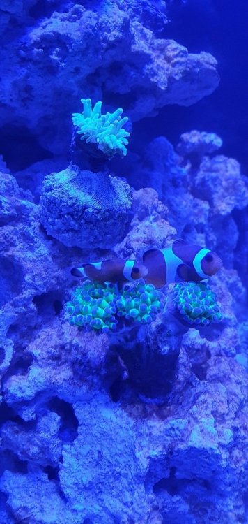 20210224_062138 (1).jpg