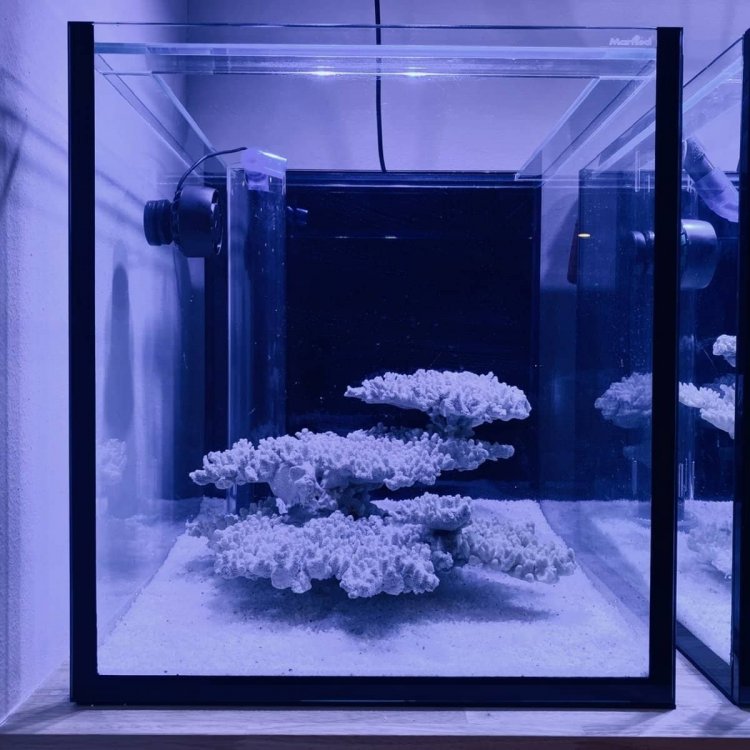 DECE17DC-A399-4856-B17D-04501DAD572C (1).jpeg