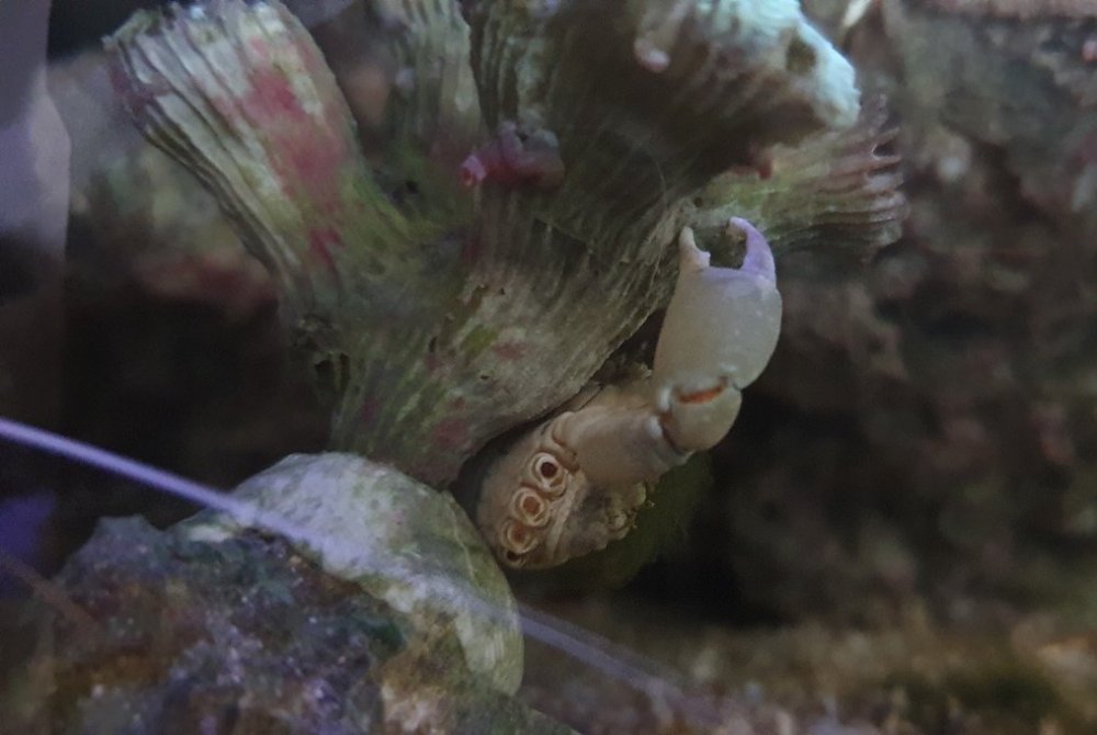 20210514_074203 — kopia.jpg