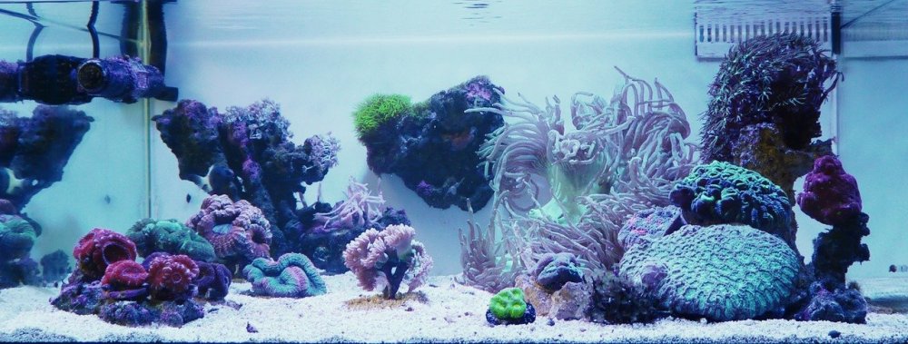 1 Ready_Easy-Resize.com.jpg