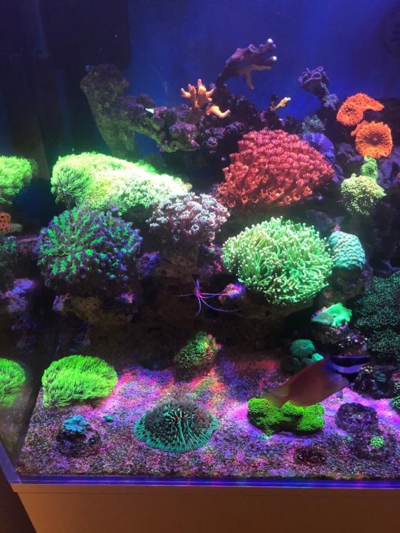 186238558_2726256580999201_3298299775255342815_n (1).jpg