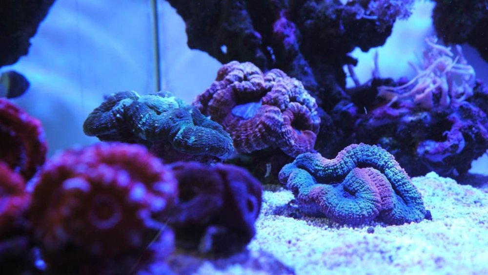 _2 Ready_Easy-Resize.com.jpg