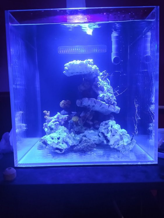 akwarium 7777.jpg
