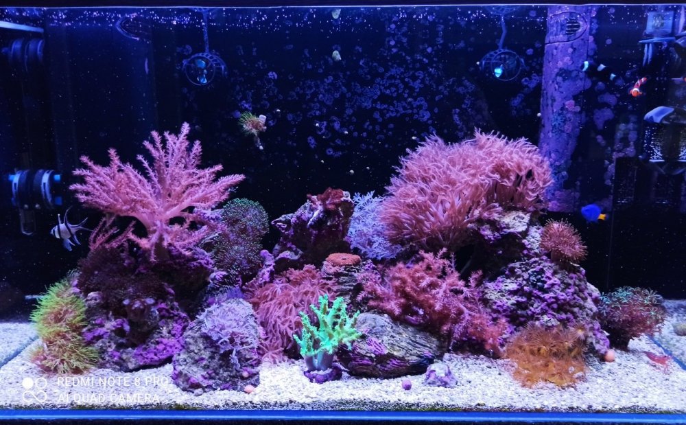 Akwa 12.06.2021-Resize.jpg