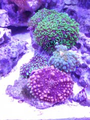 IMG_20210806_174835_Easy-Resize.com.jpg