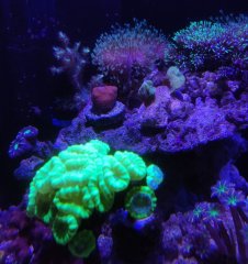 IMG_20210806_175045_Easy-Resize.com.jpg