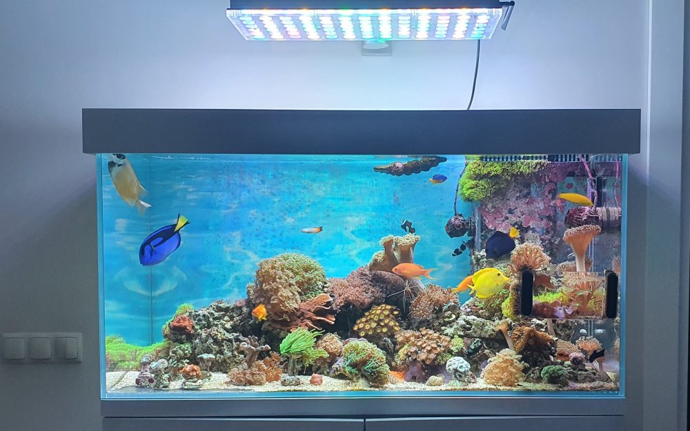 Akwarium.jpg
