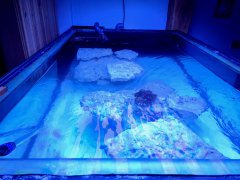 20210606_173817.jpg