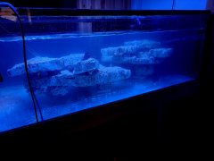 20210606_173837.jpg