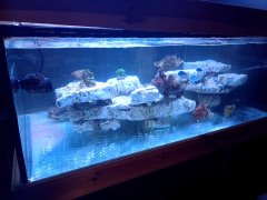 20210606_193732.jpg