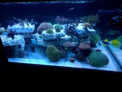 20210607_012326.jpg