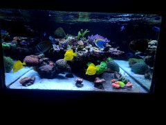 20211113_155240.jpg