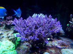 20211113_155332.jpg
