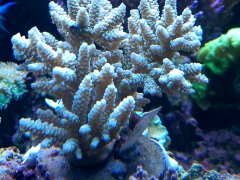20211113_155509.jpg