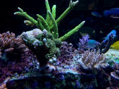 20211113_155525.jpg