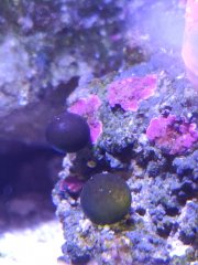 IMG_20211120_110724.jpg