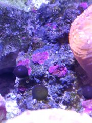 IMG_20211120_110741.jpg