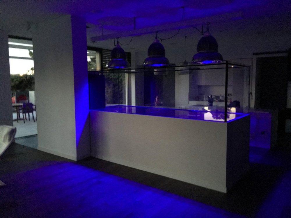 2021-12-05 07.58.16.jpg