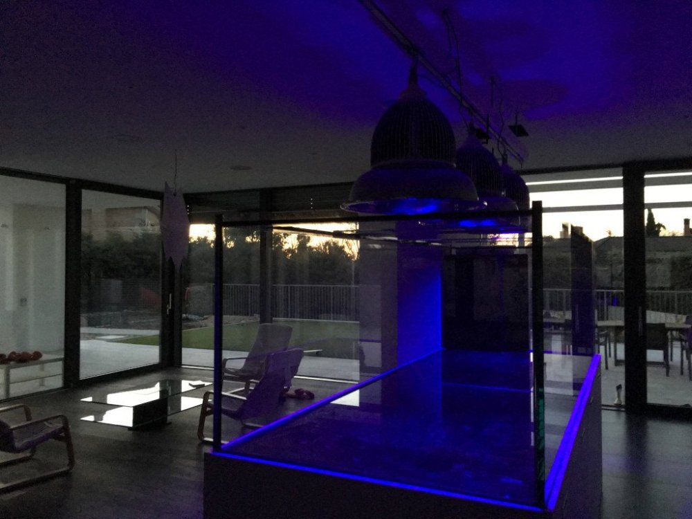 2021-12-05 07.58.05.jpg