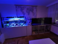 IMG_20211215_134950.jpg