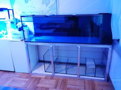 IMG_20211215_135003.jpg