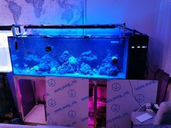 IMG_20220129_015510.jpg