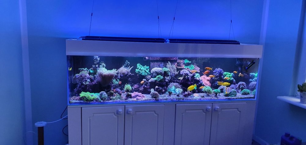 20220206_143004_Easy-Resize.com (1).jpg