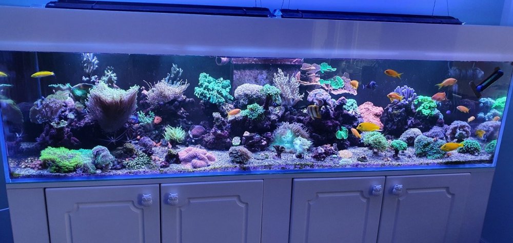 20220206_142934_Easy-Resize.com (1).jpg