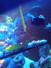 IMG_20220320_184002.jpg