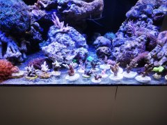 IMG_20220327_122440.jpg