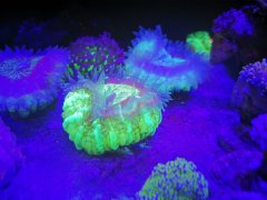 IMG_20220331_012119.jpg