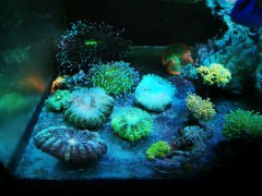 IMG_20220331_212120.jpg