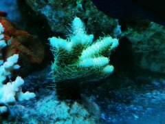 IMG_20220331_212419.jpg