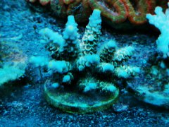 IMG_20220331_212513.jpg
