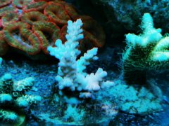 IMG_20220331_212520.jpg