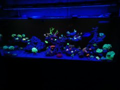 IMG_20220411_203946.jpg