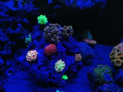 IMG_20220411_203958.jpg