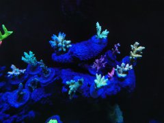 IMG_20220411_204032.jpg