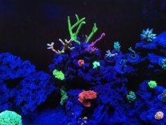 IMG_20220411_204038.jpg