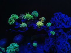 IMG_20220411_204124.jpg