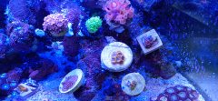 IMG_20220603_165542.jpg