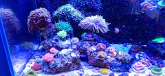 IMG_20220603_165555.jpg
