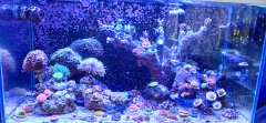 IMG_20220603_165606.jpg