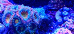 IMG_20220603_165626.jpg