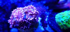 IMG_20220603_165740.jpg